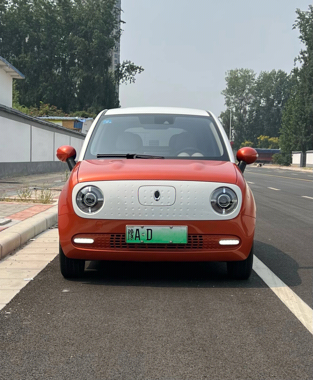 新售:2020年 欧拉 r1 黑猫车型:19款 欧拉r1 黑猫 351km 女神版上牌