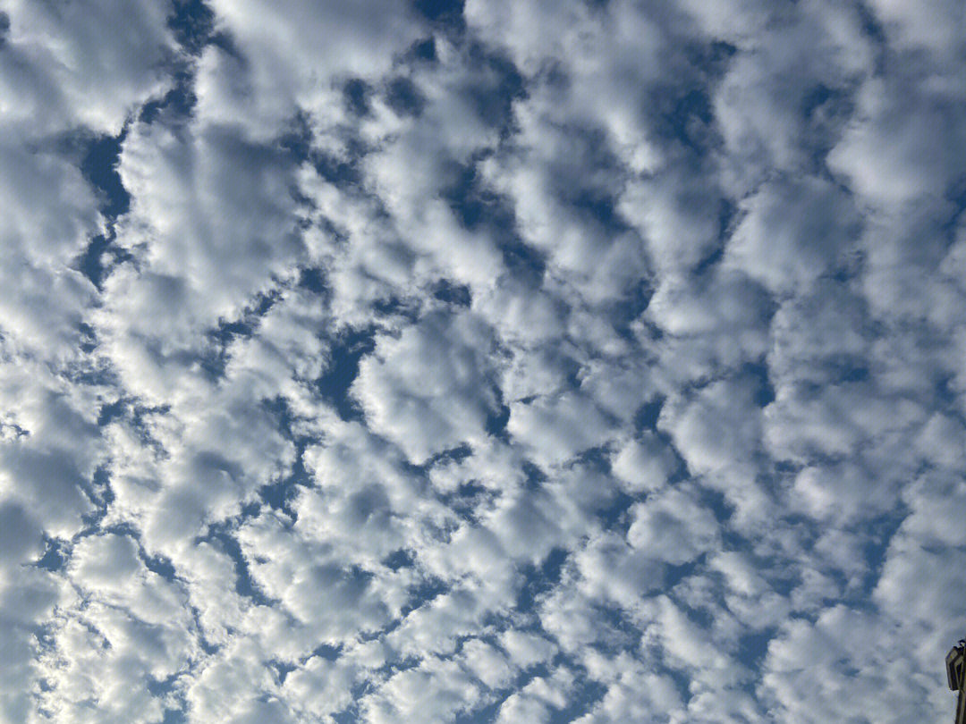 地震云还是鱼鳞云