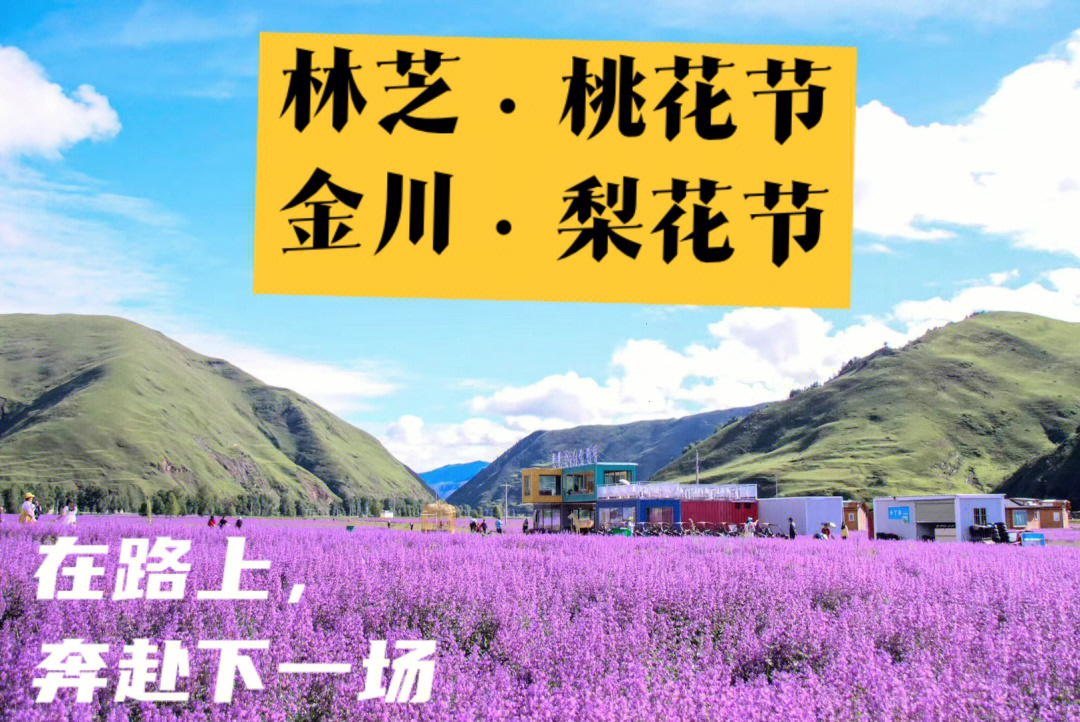 林芝2路公交车路线图图片