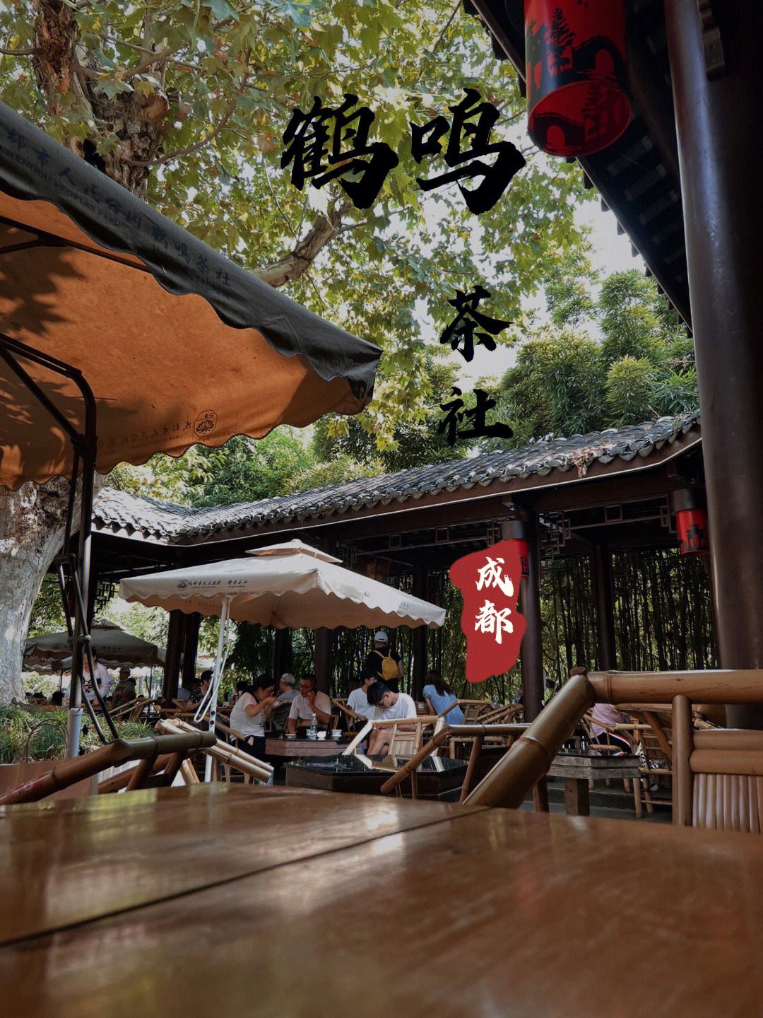 成都鹤鸣茶社简介图片