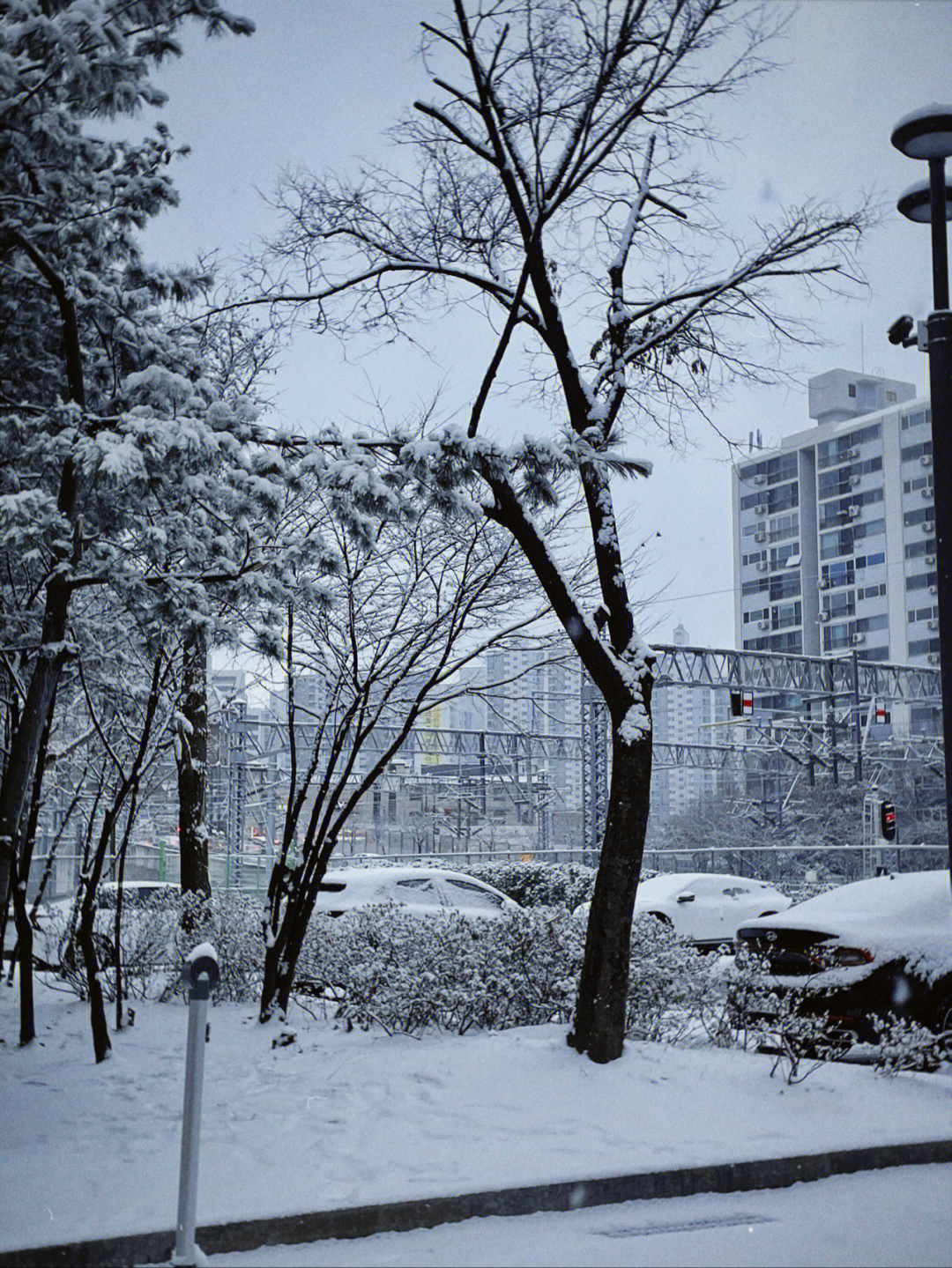 首尔下雪天