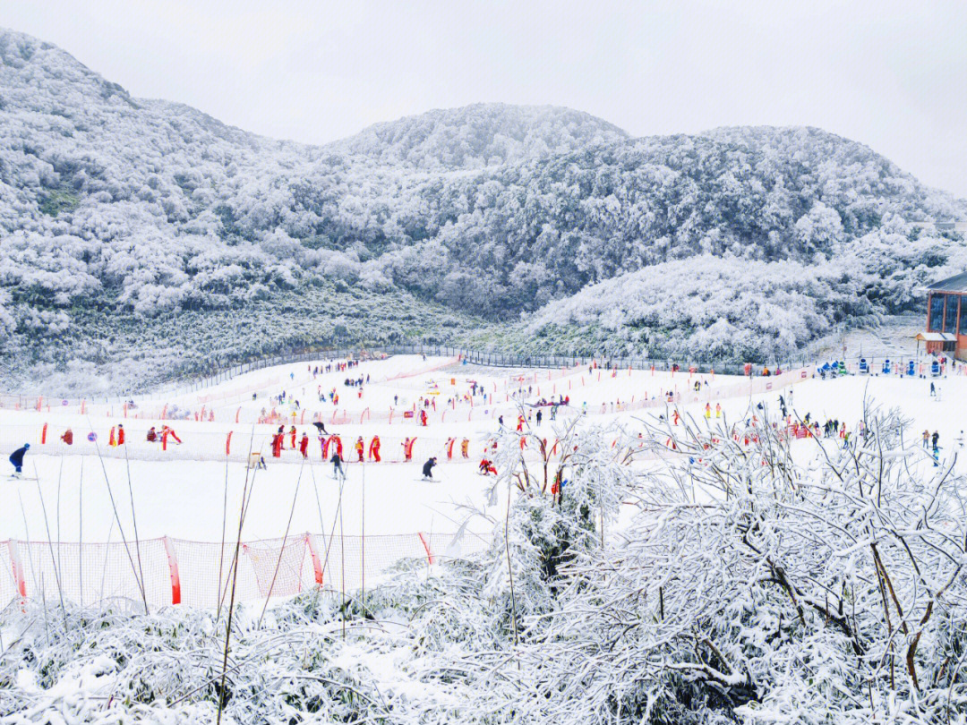 金佛山北坡雪景图片