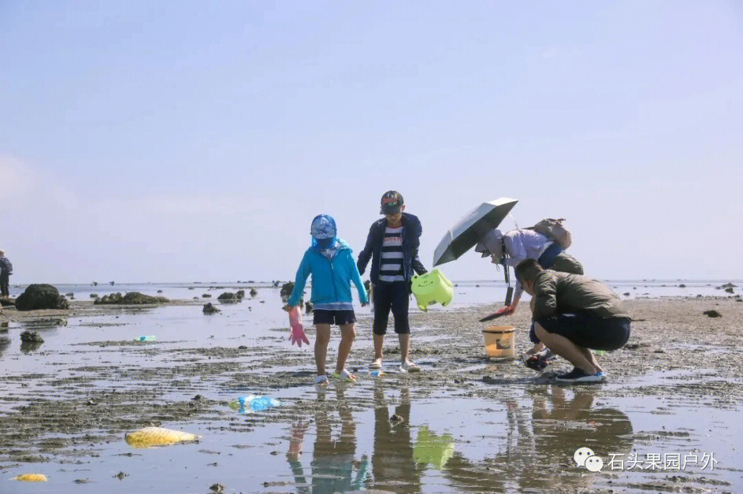 文昌高隆湾赶海图片