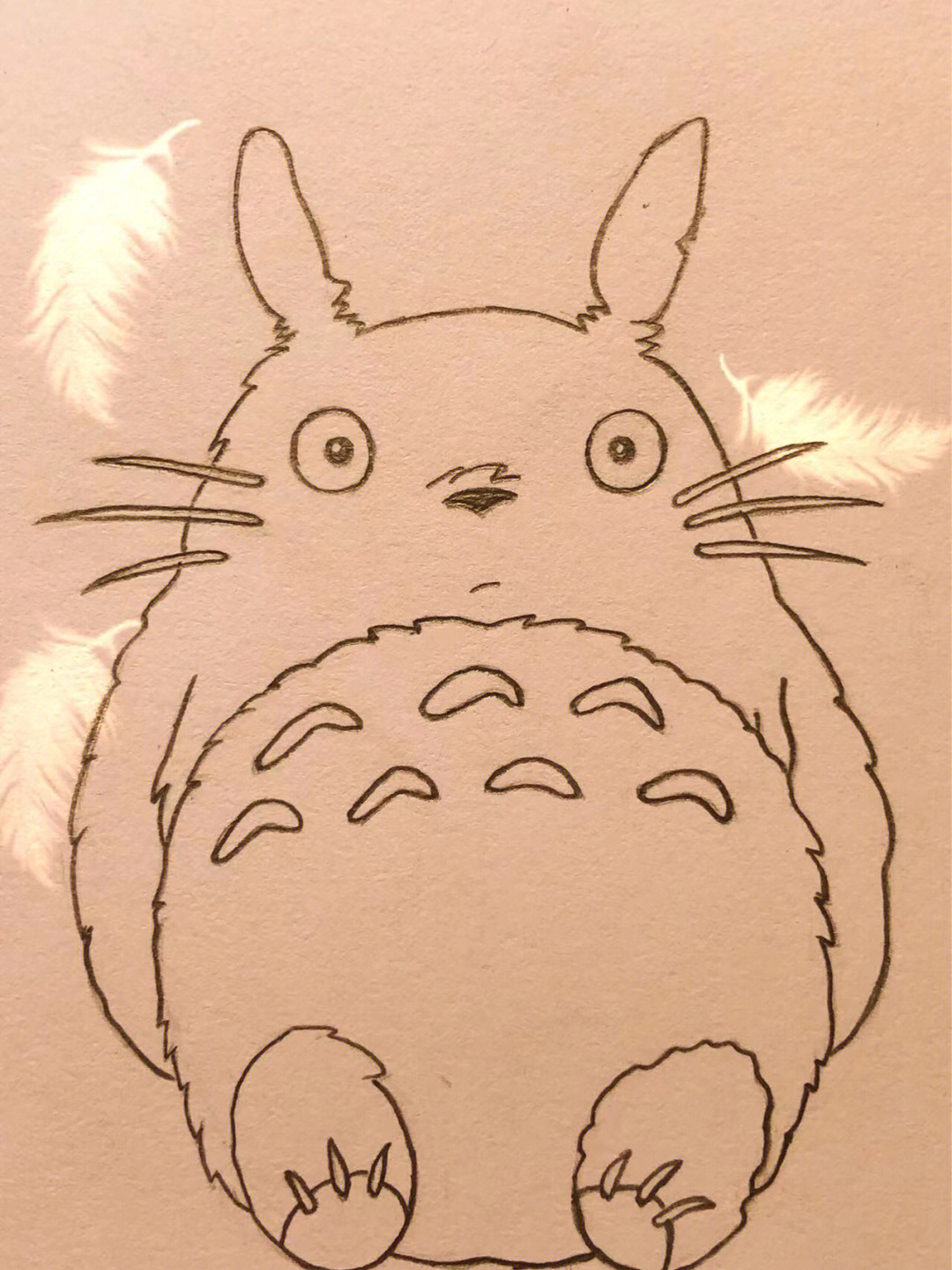 Q版龙猫手绘简笔图片