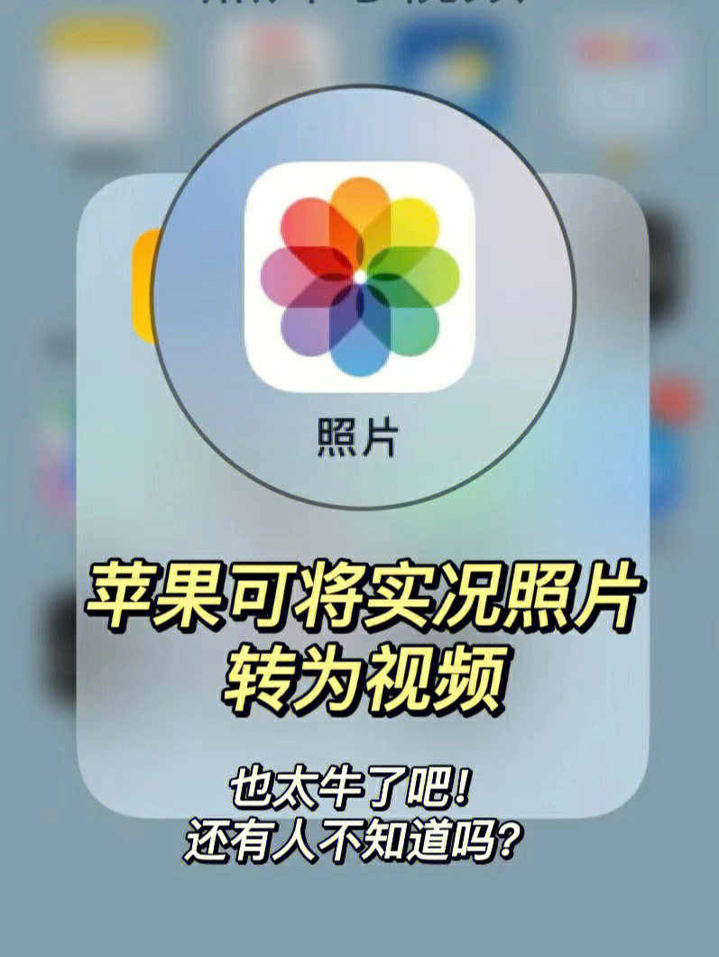 ios实况照片图片