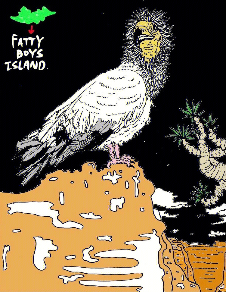 fattyboysisland丨白兀鹫