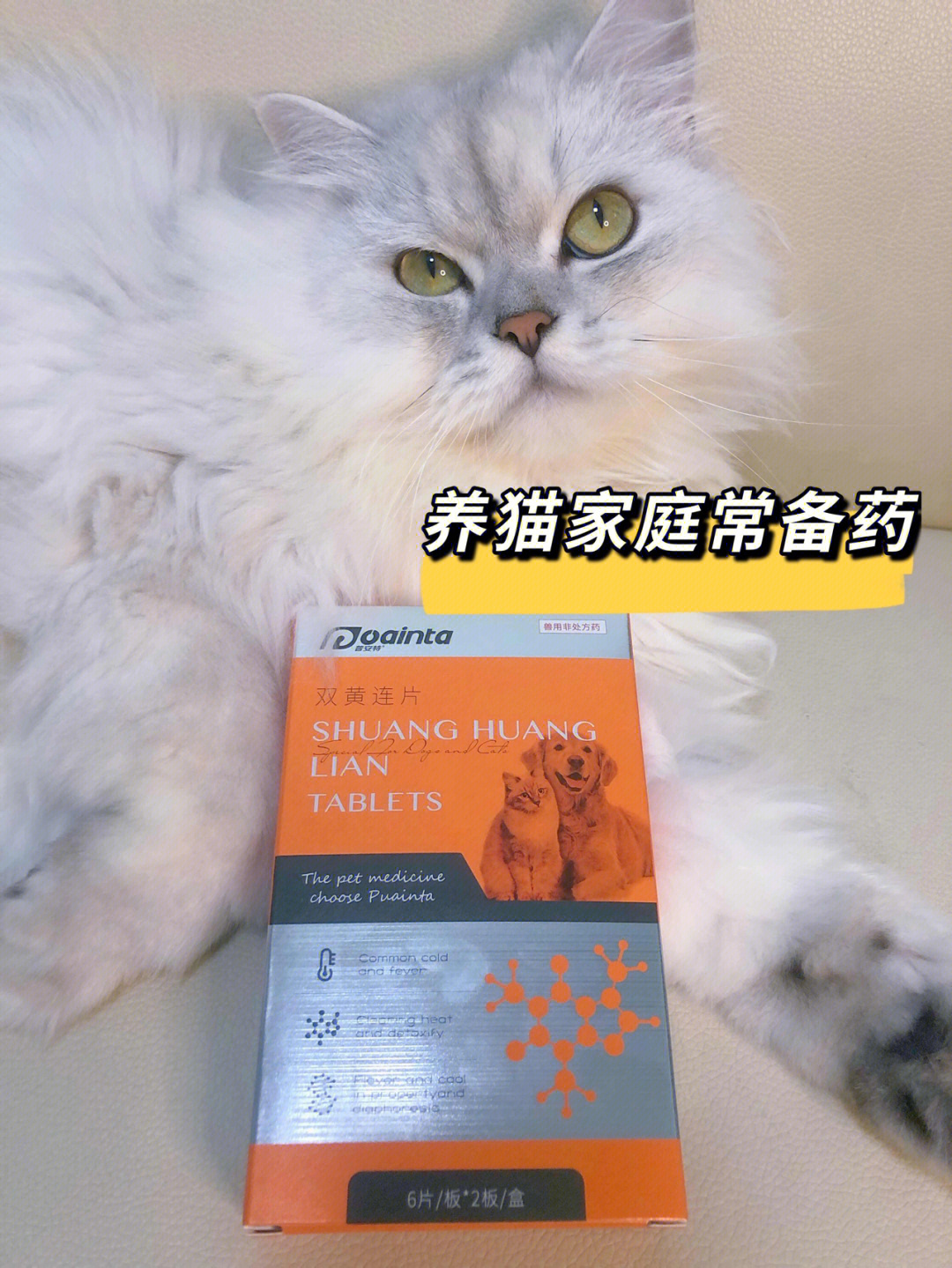 养猫家庭必备的感冒药