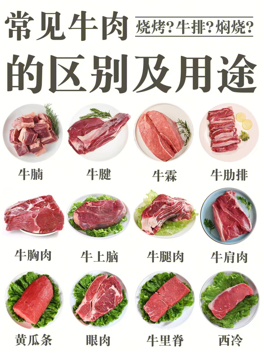 常见牛肉的区别及用途 一次性给你讲清楚