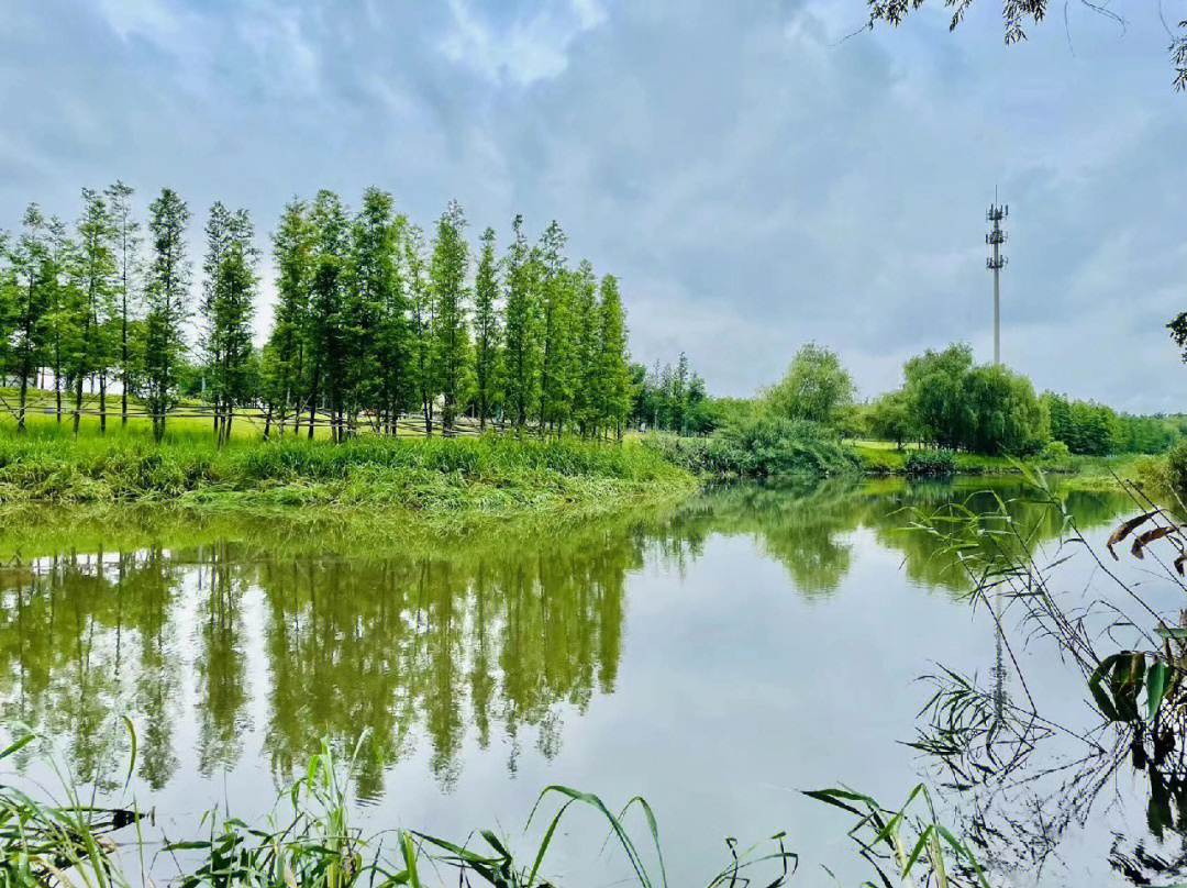 杭州沿江湿地公园露营图片