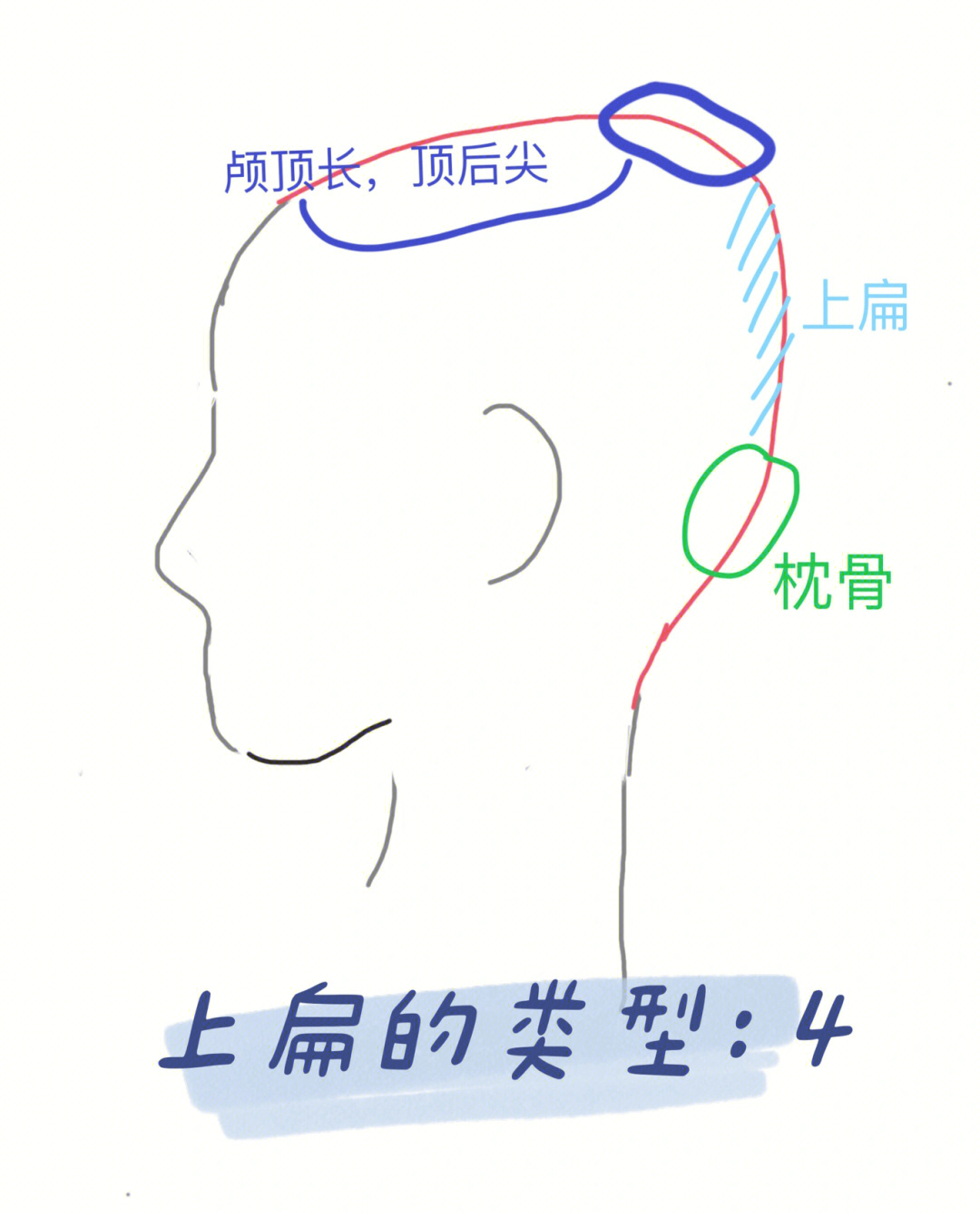 宝宝头型干货分享上扁的类型下