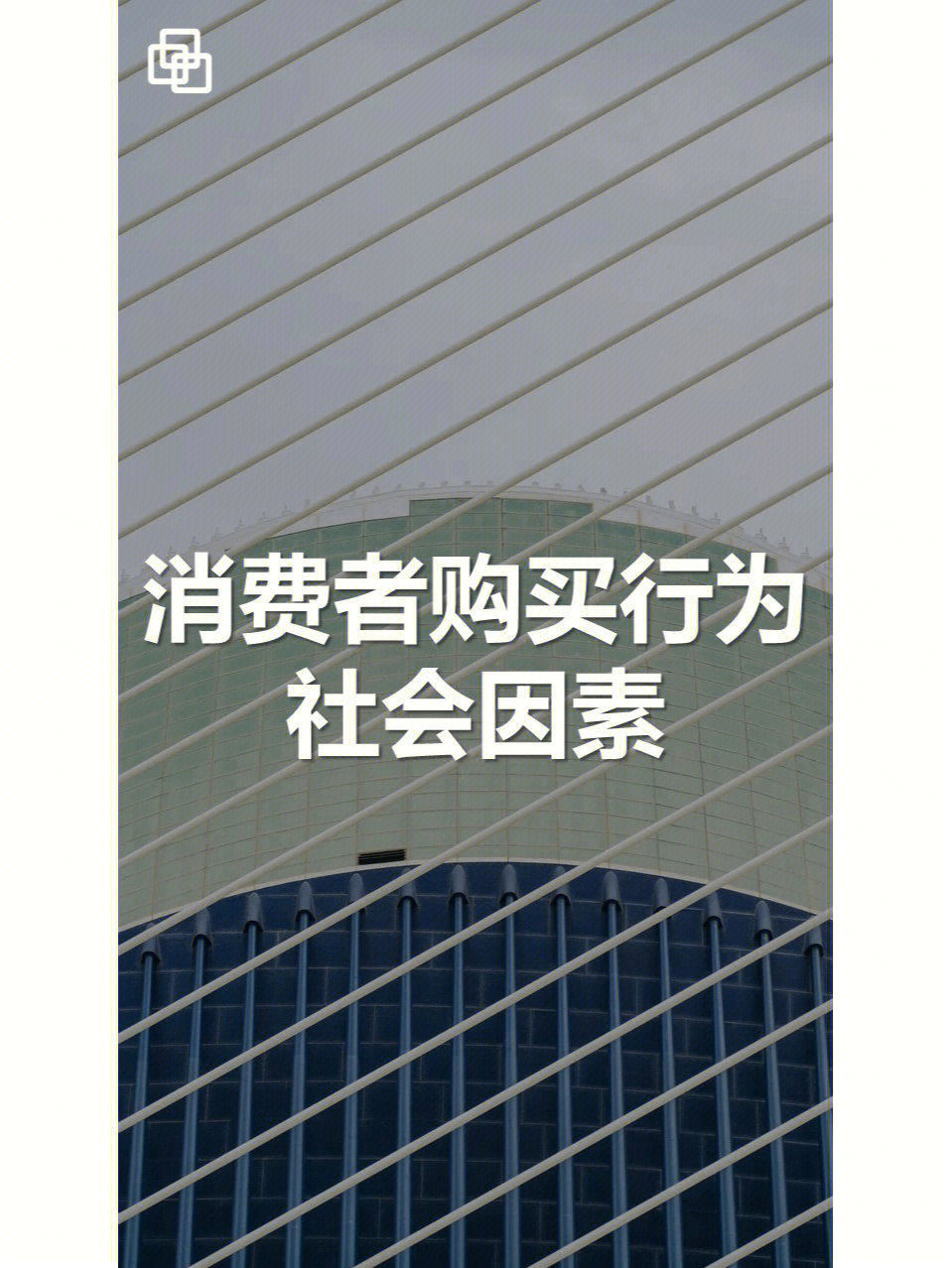 消费者的购买行为要受到许多因素的影响和制约,主要包括文化因素,社会