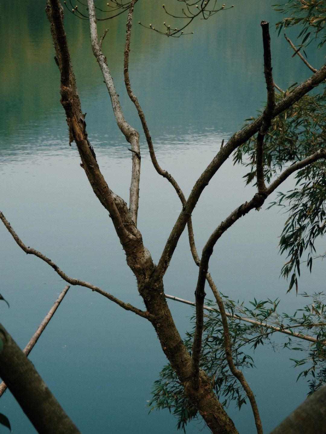 青山村水库图片