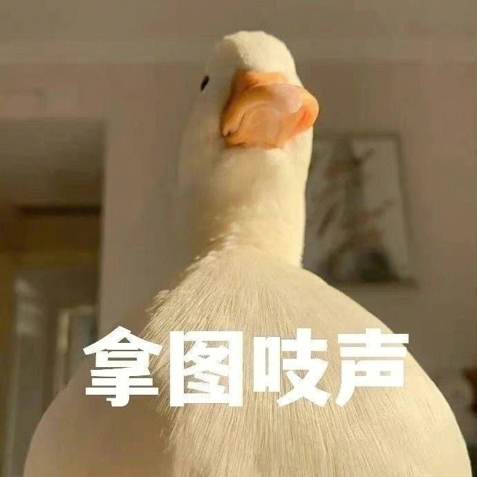 呜呼好看