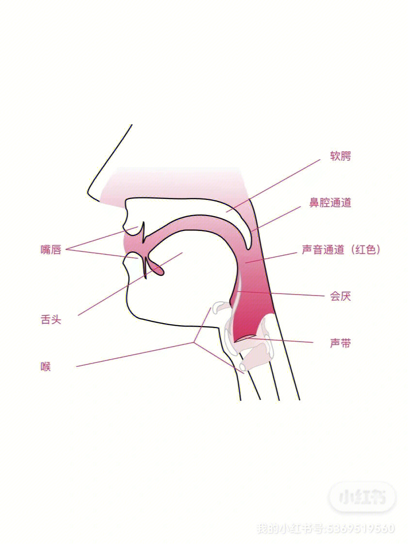 唱歌通道示意图图片