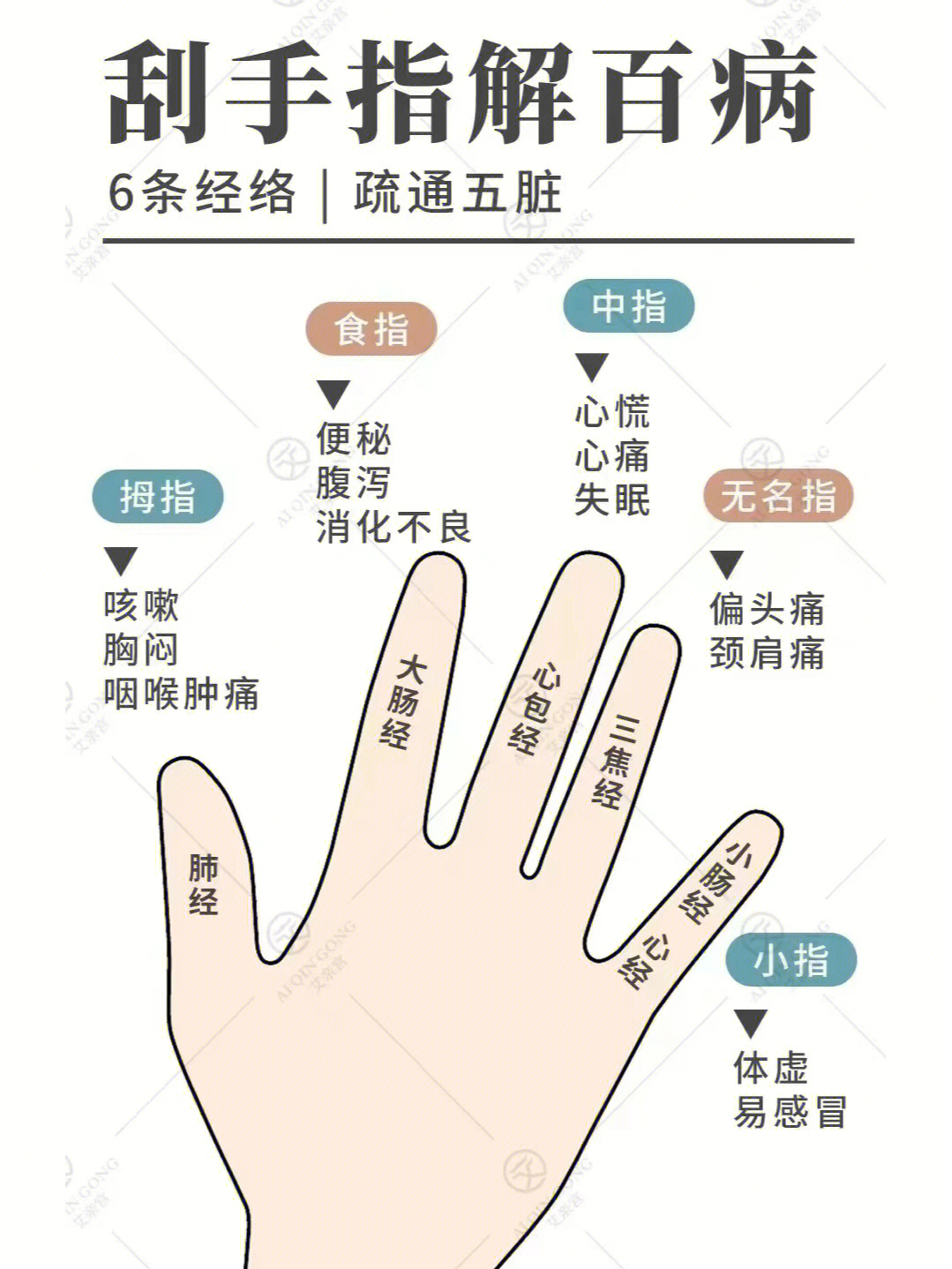 76刮手指解百病6条经络疏通五脏