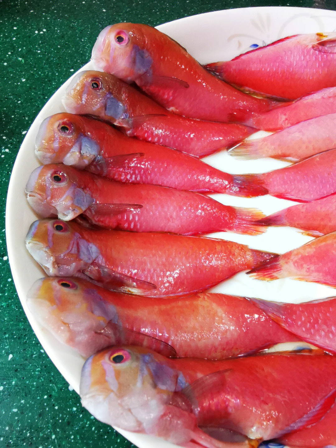 红色扁扁的鱼图片