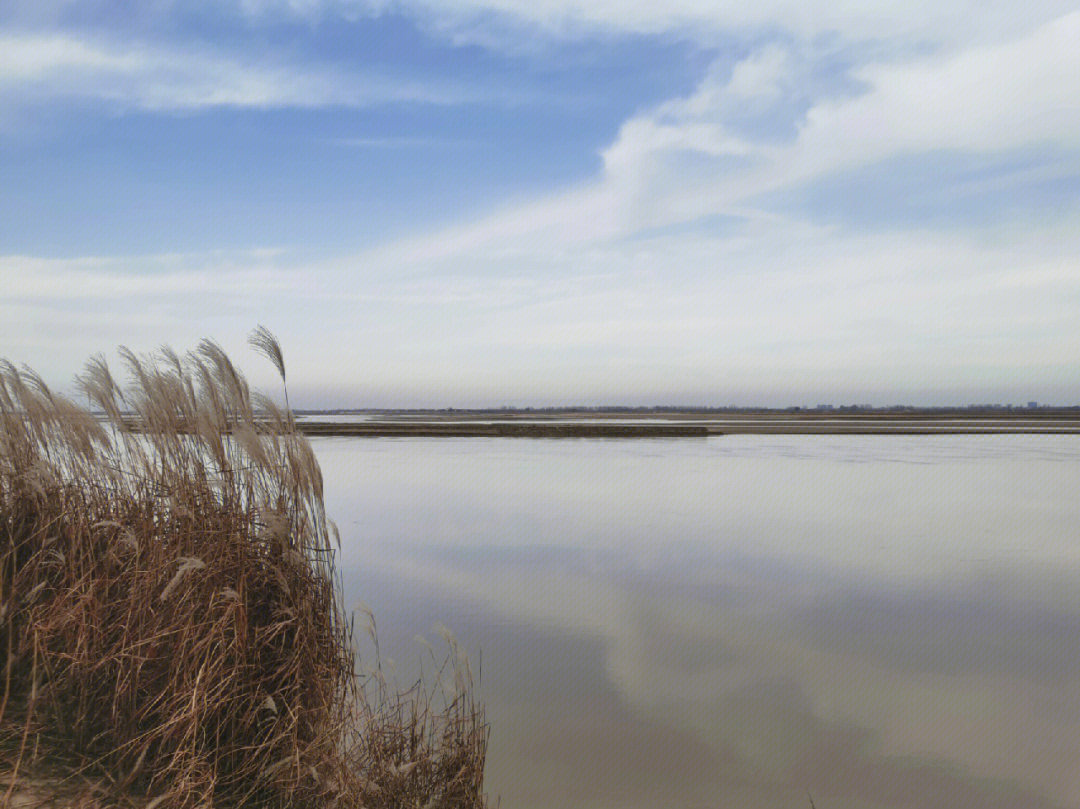 黄河湿地公园