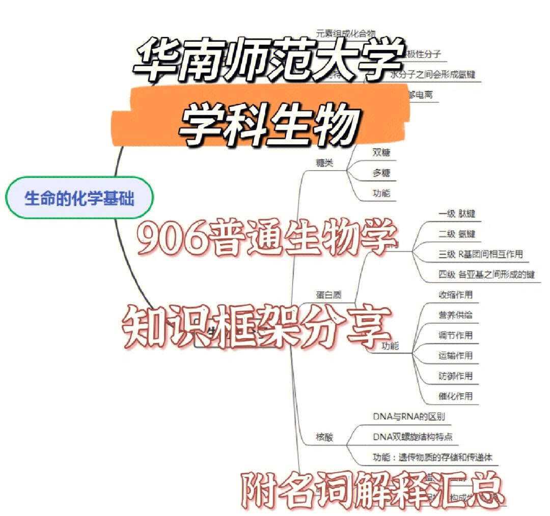 华南师范大学学科生物普生1