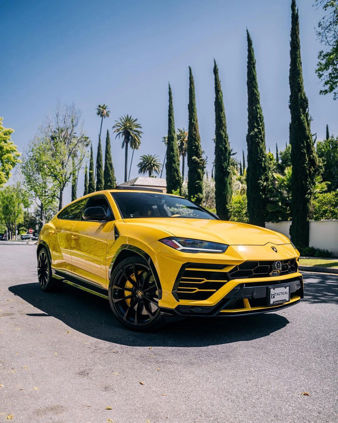 clean urus