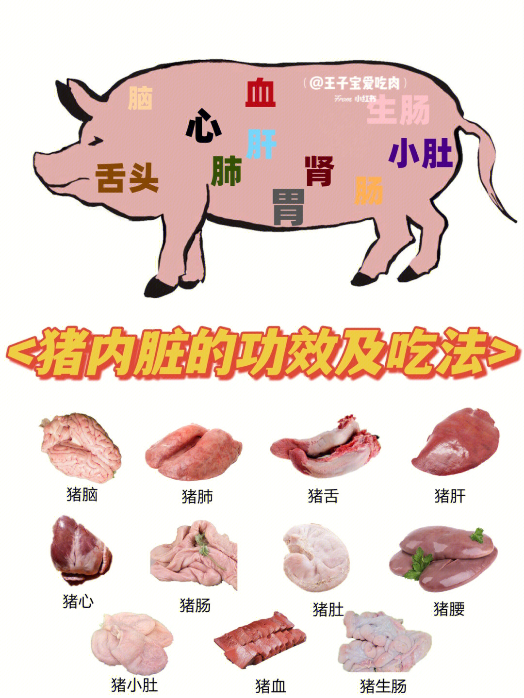 猪的内脏名称图片