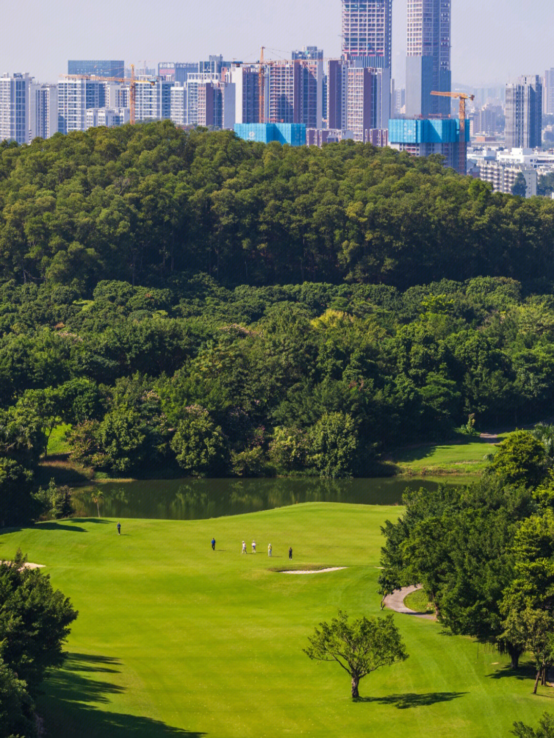 大顶岭山林公园图片