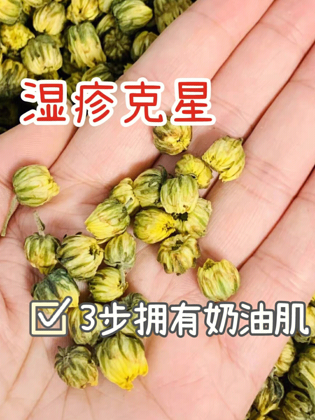 菊花肉疙瘩图片