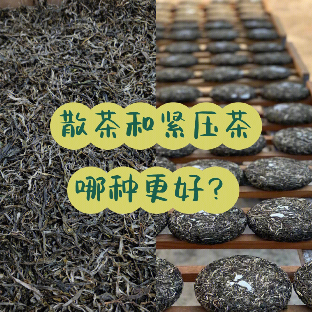 散茶和紧压茶哪种更好