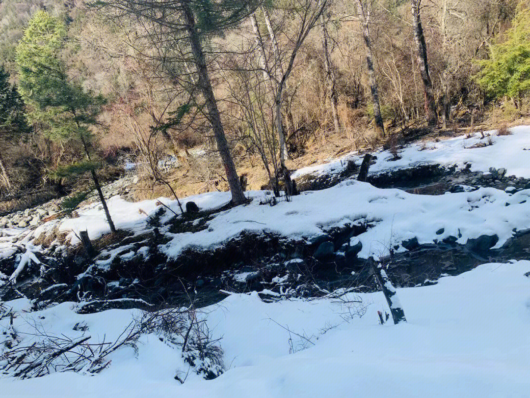 玩雪胜地孟屯河谷