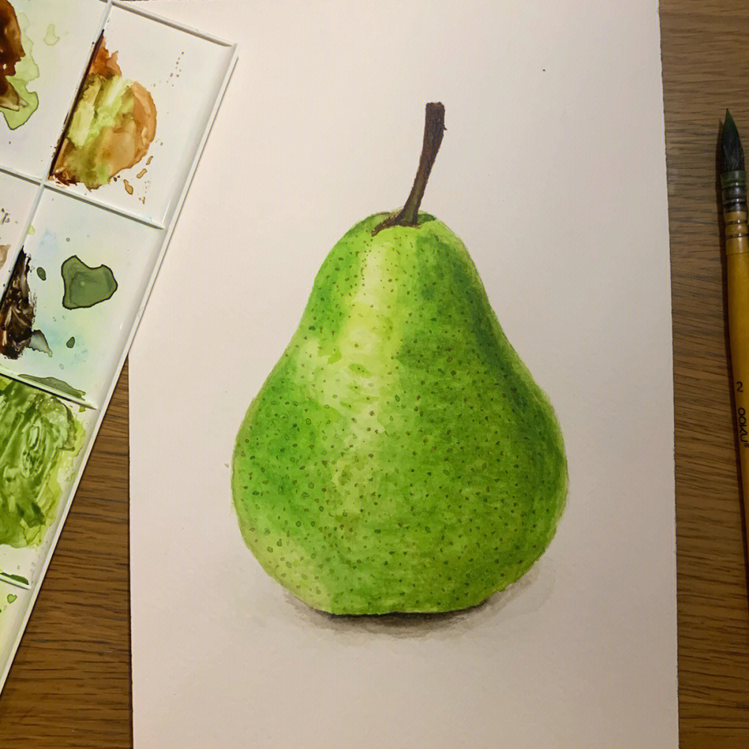 水彩梨的画法图片