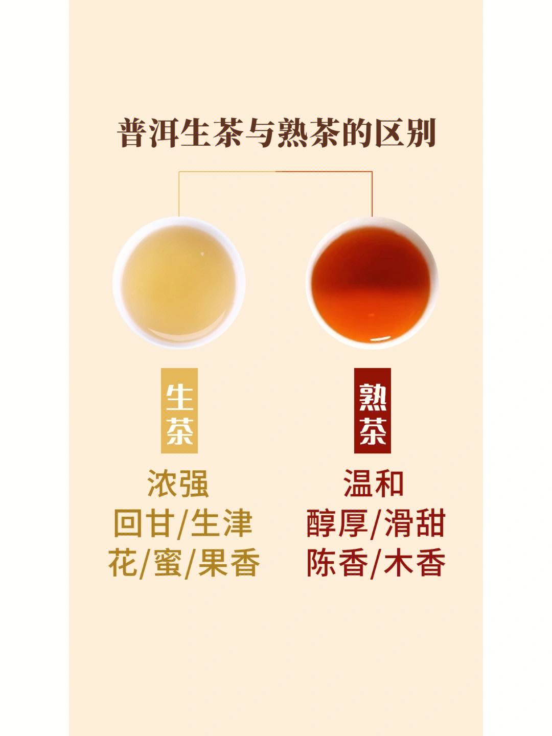普洱生茶与普洱熟茶的区别有哪些