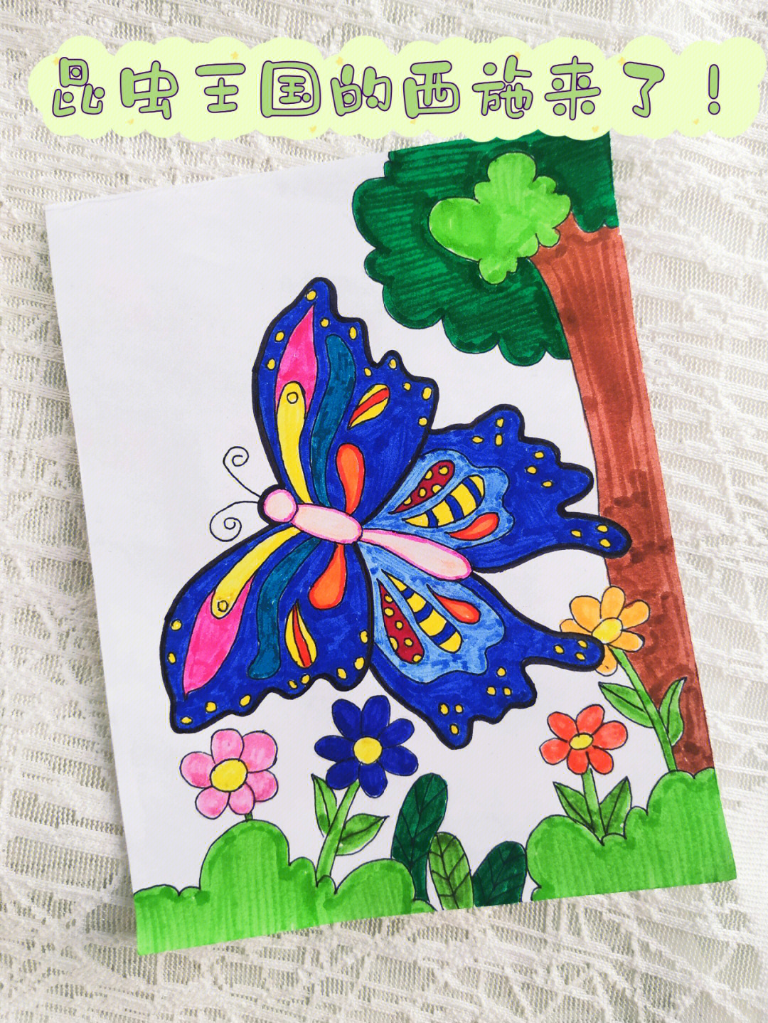 黄蝶的画法图片