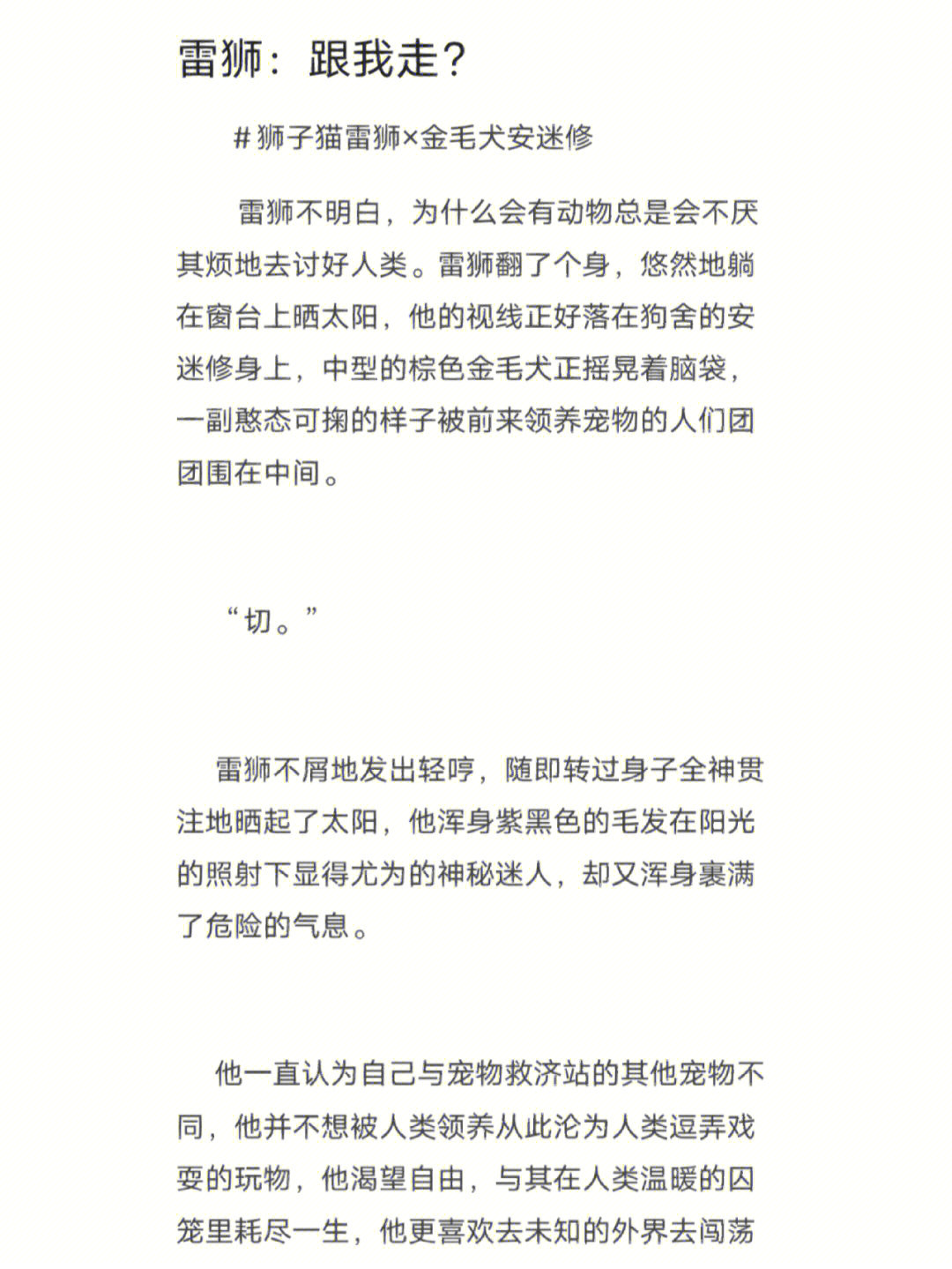 "雷狮的背影就像是一道高高在上的光,照亮了身处黑暗中的安迷修.