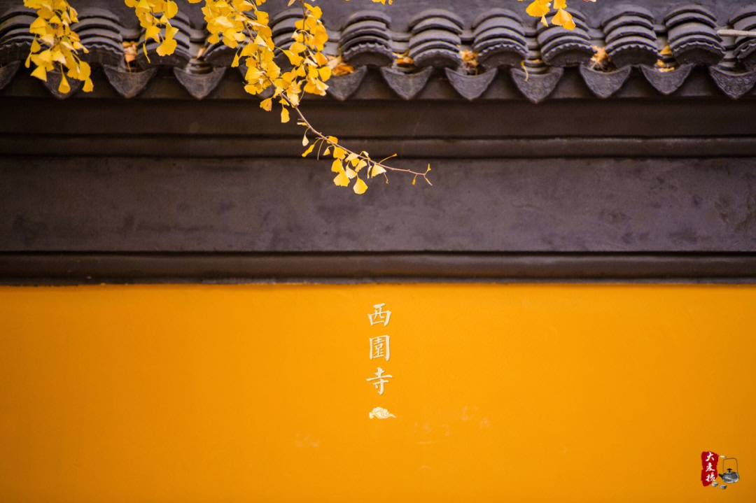 仙游西国寺图片