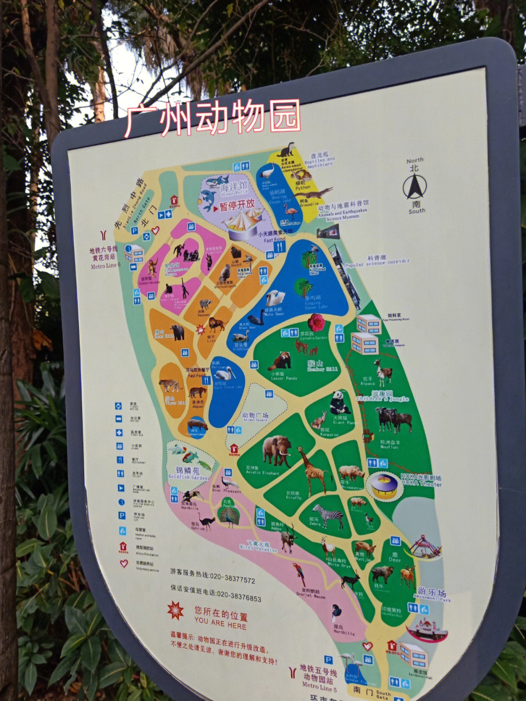 广州动物园导览图图片