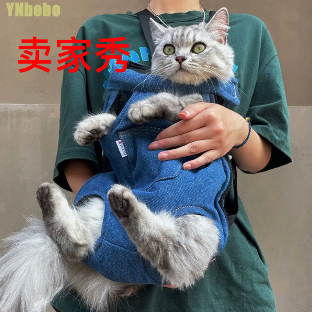 旧包改造成猫咪外出包图片