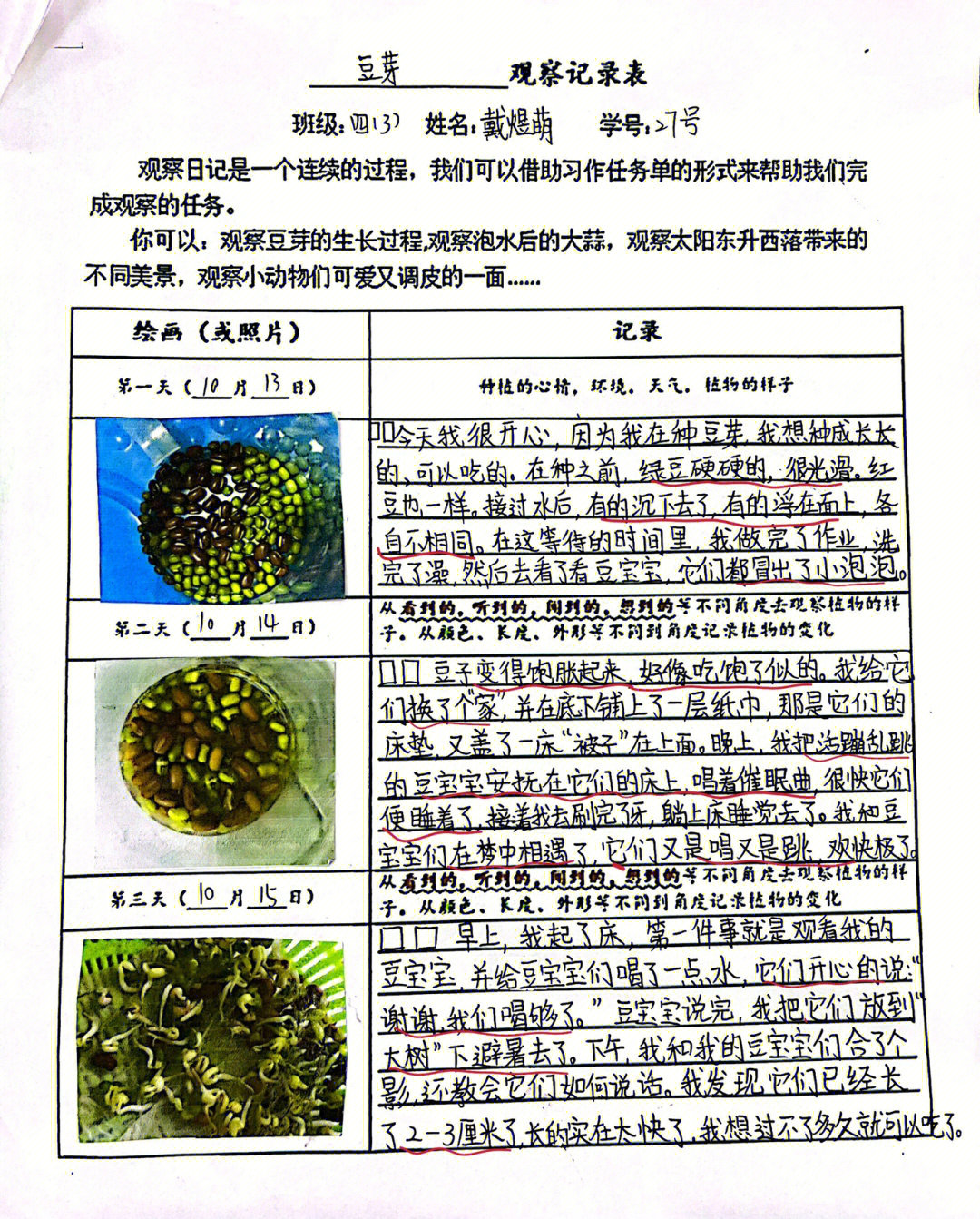 四年级语文作文观察日记