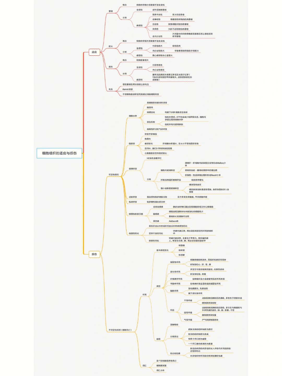 病理学思维导图细胞和组织的适应和损伤