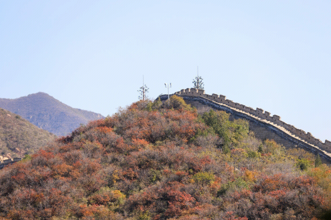 北京赏秋红叶正当时八达岭国家森林公园