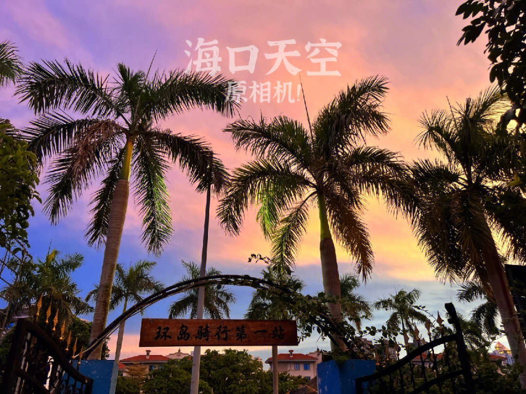 海南环岛logo图片