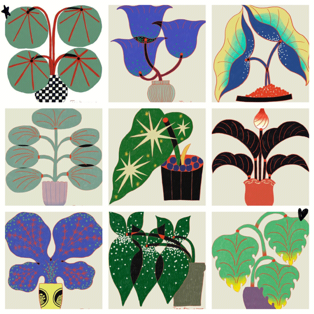 jeon的插画风格平面感很强,在绘画的基础上增加了设计感,所有的植物
