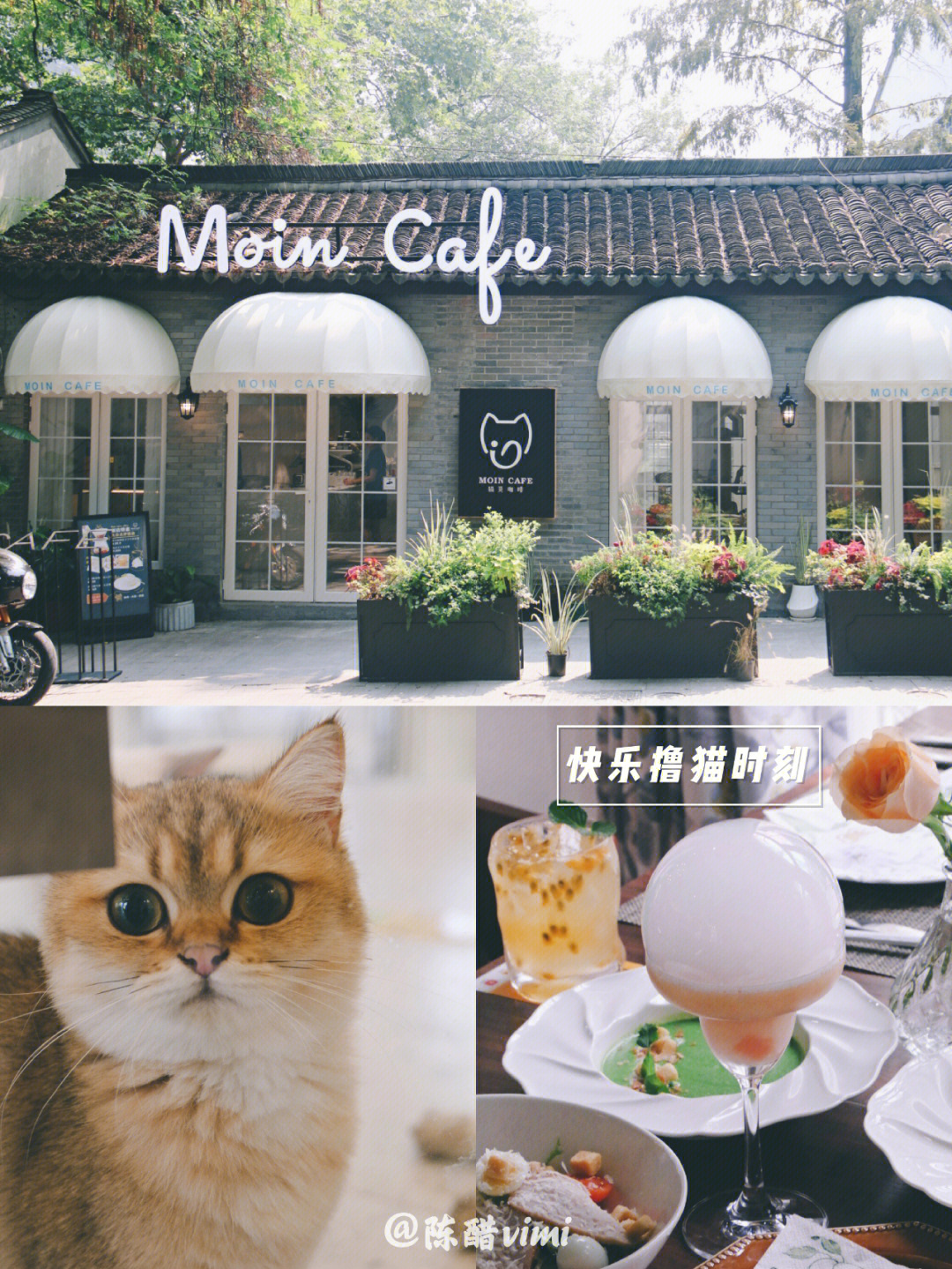 杭州浪漫猫屋图片