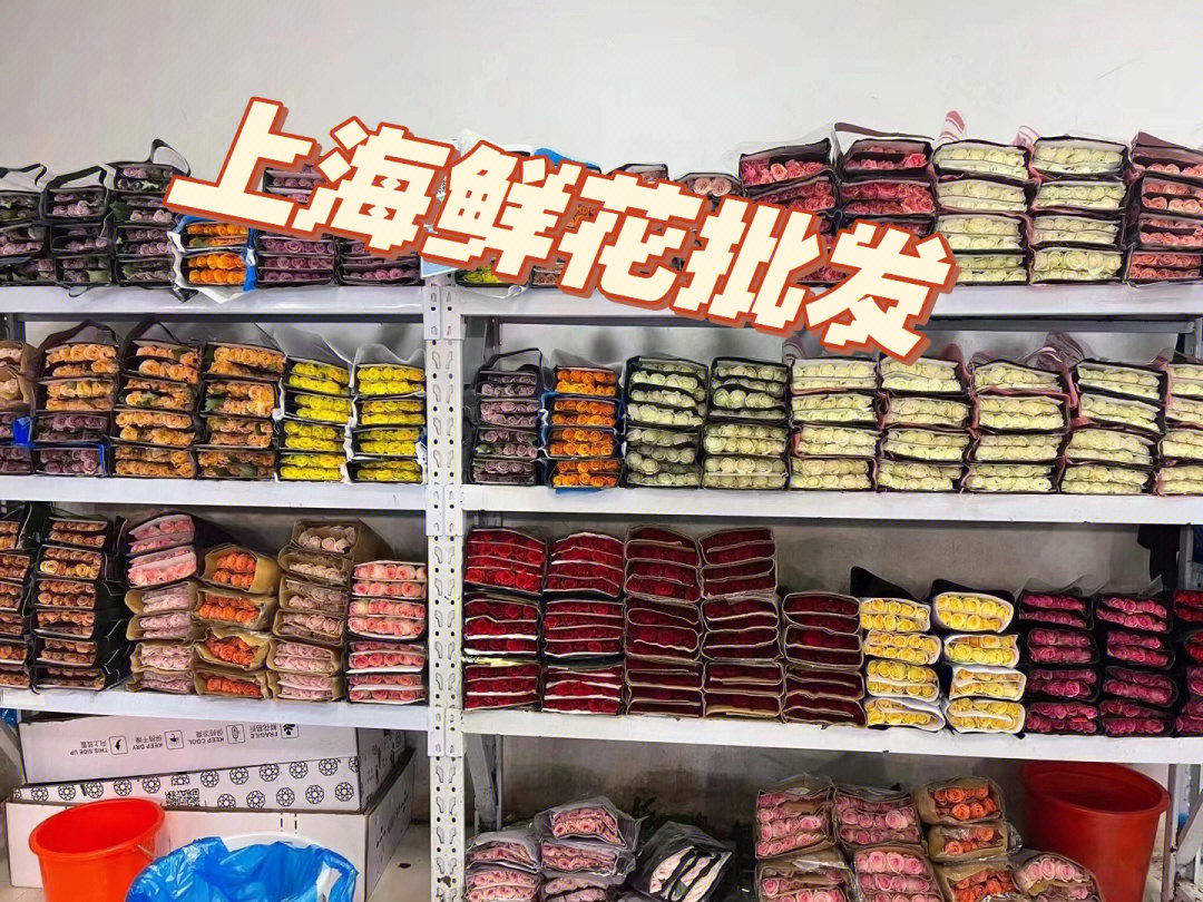 上海鲜花批发市场昆明一手货源