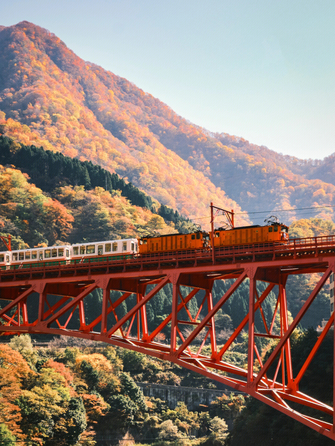 北陆富山県红叶狩り