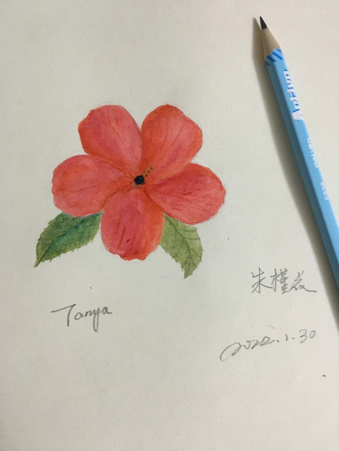 大红花的画法图片
