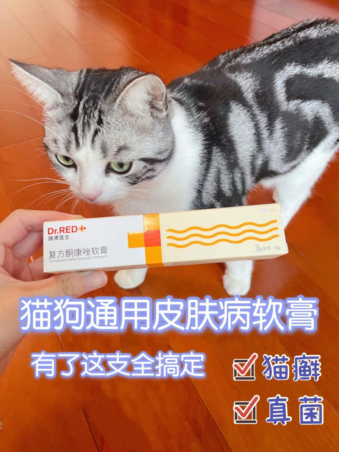 猫咪猫癣皮肤病有了这支全搞定