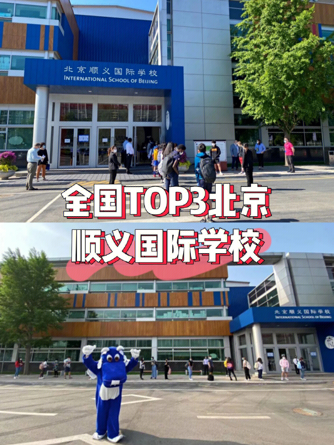 北京顺义国际学校logo图片