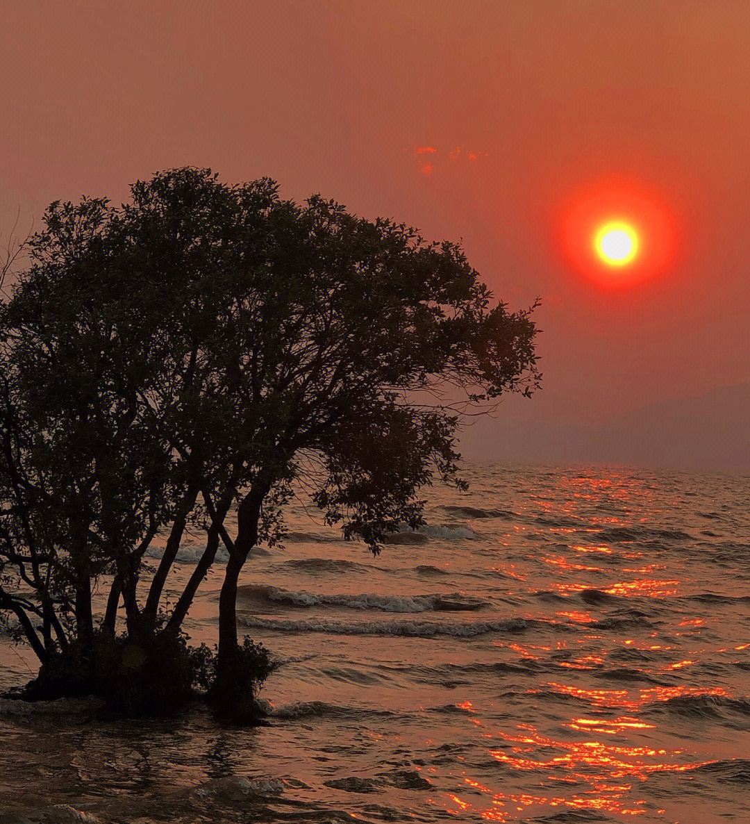 王官湿地公园日落图片图片