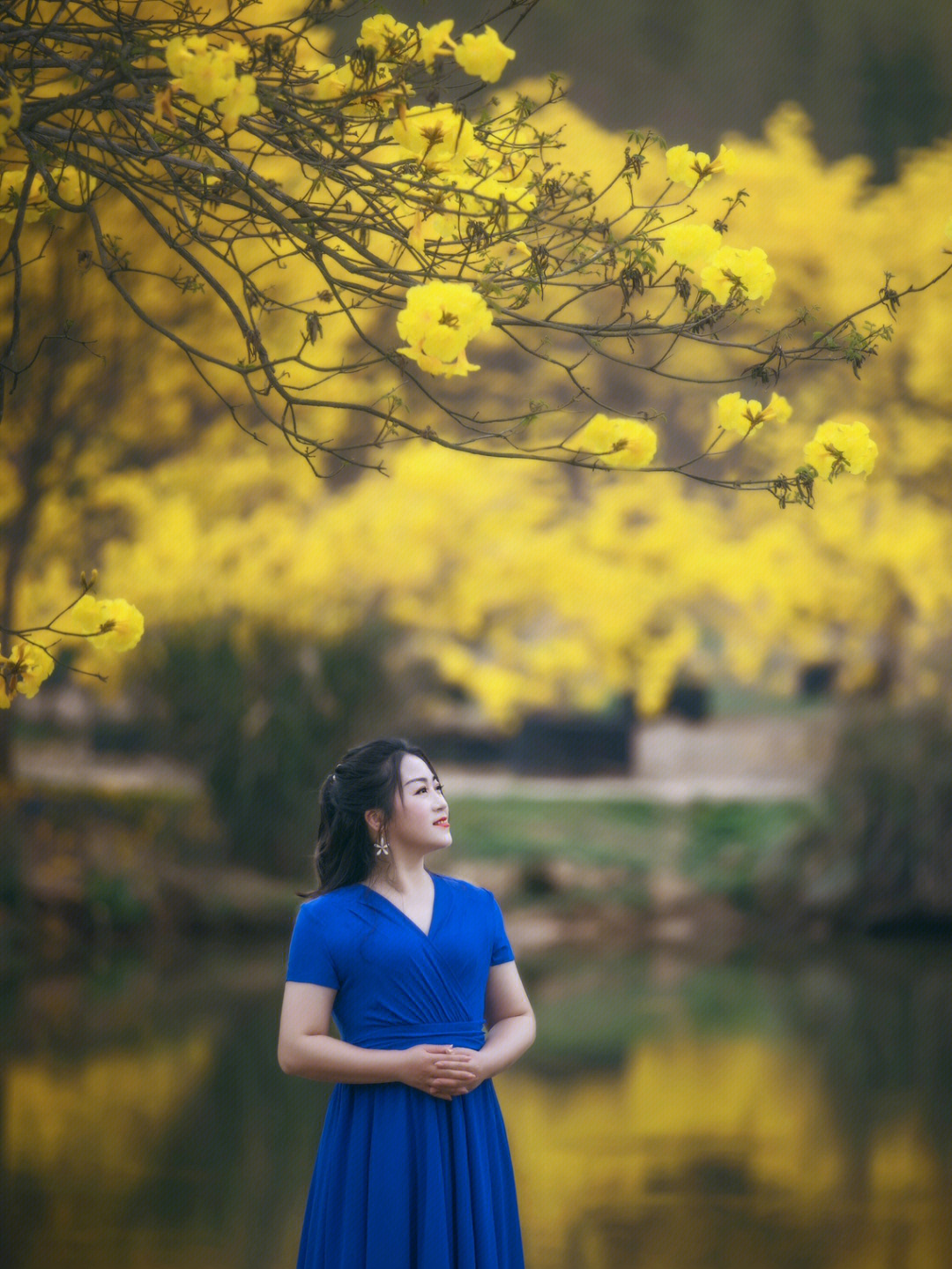 黄花风铃人像图片