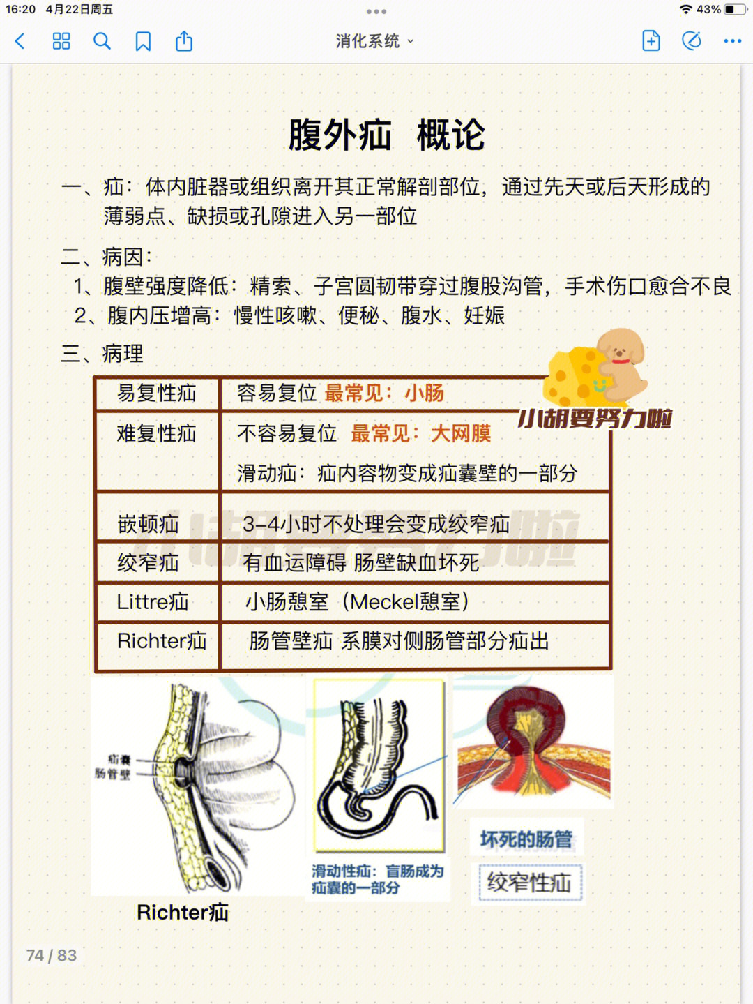 疝气带制作方法图片