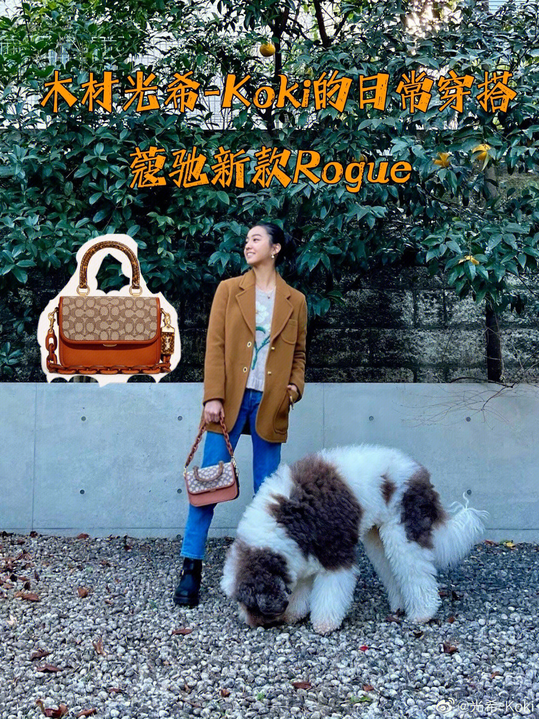 蔻驰coach木村光希koki的新包rogue